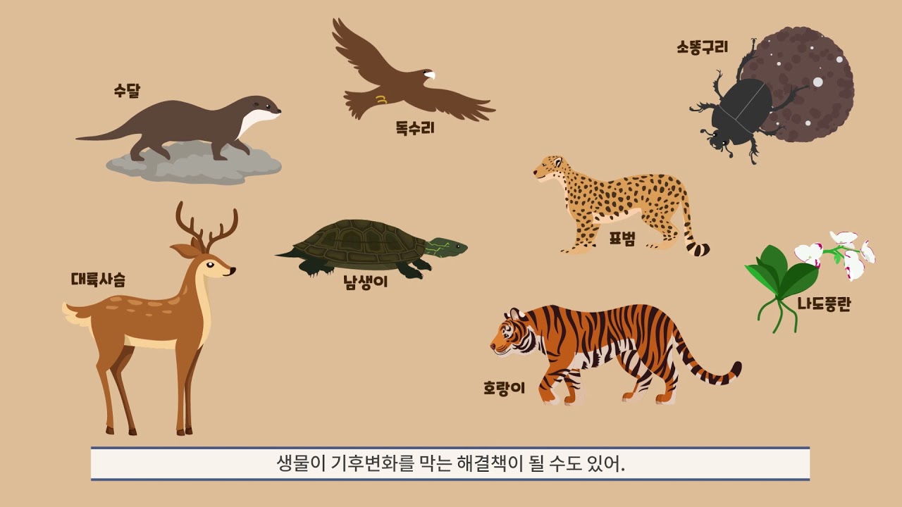 생물다양성이 인간에게 미치는 영향은 무엇인가요? - 현명한 제품
